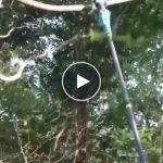 AKU SET: 3v1 – Pilka + Nůžky + Teleskopická tyč – video