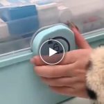 Organizér na léky a potřeby – video