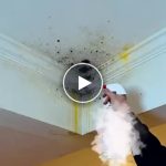 Čisticí sprej proti plísni na stěny – video