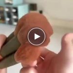 Elektrický čistič a sušič make-up štětců – video